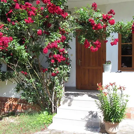 Napkorong Vendeghaz Holiday home *